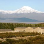 Caminos del Vino en el Valle de Uco: Bodega Atamisque