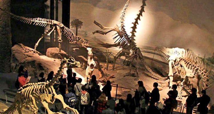 La Ruta De Los Dinosaurios En La Argentina C T Mendoza