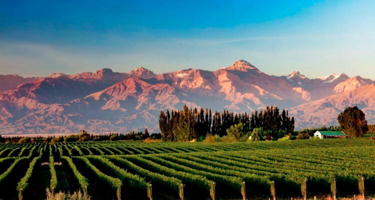 Mendoza es el destino más elegido para turismo cuando acaben las restricciones