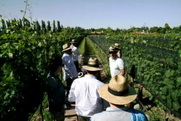 El diario francés Le Monde destacó a Mendoza y a sus vinos